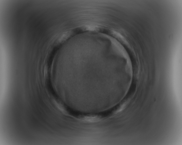 X0000085230213200703301732