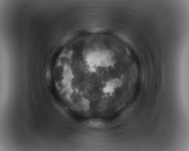 X0000085230214200703301732