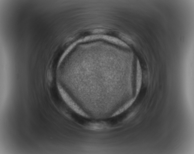 X0000085230215200703301732