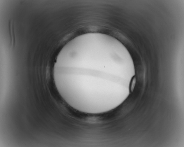 X0000085230216200703301732