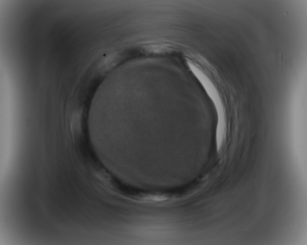 X0000085230217200703301732