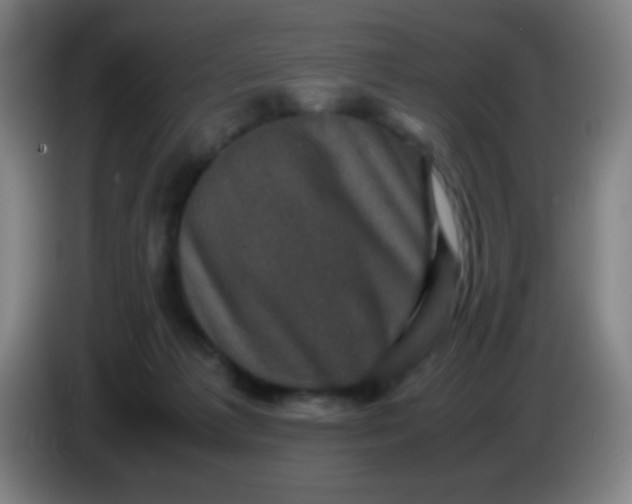 X0000085230221200703301732