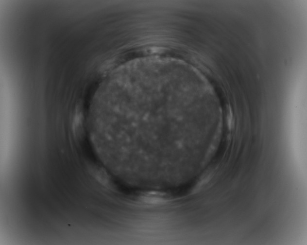 X0000085230222200703301732