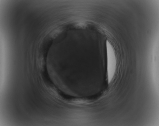 X0000085230223200703301732