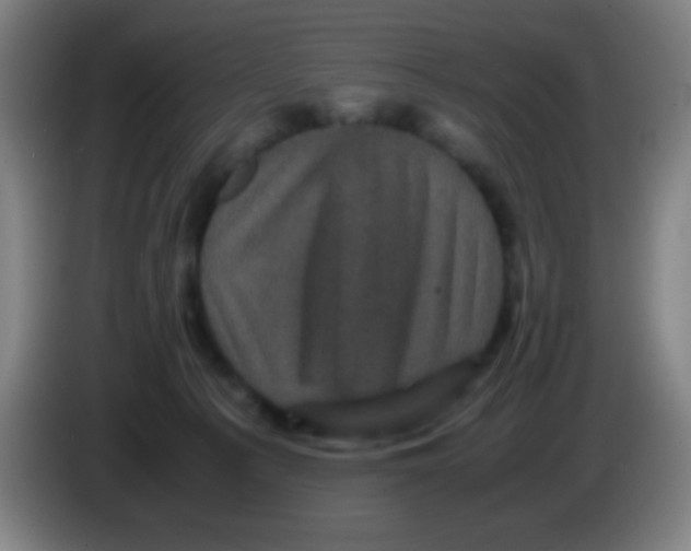 X0000085230225200703301732