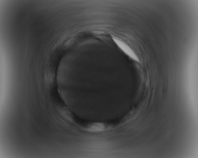 X0000085230227200703301732