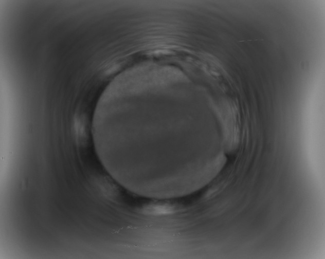 X0000085230228200703301732