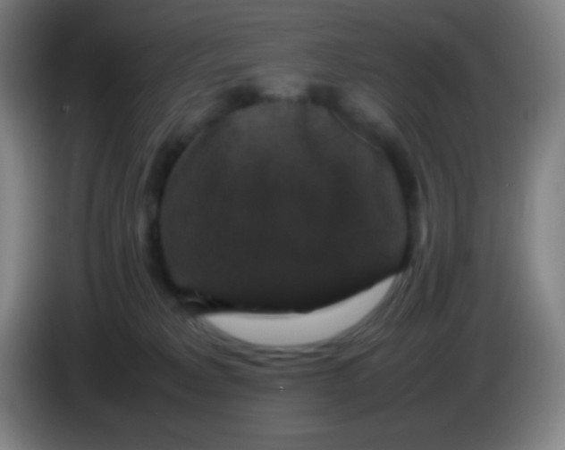 X0000085230229200703301732