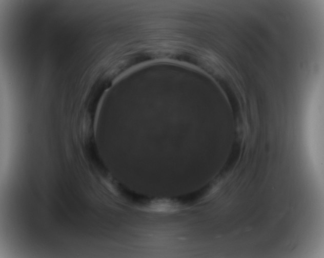 X0000085230231200703301732