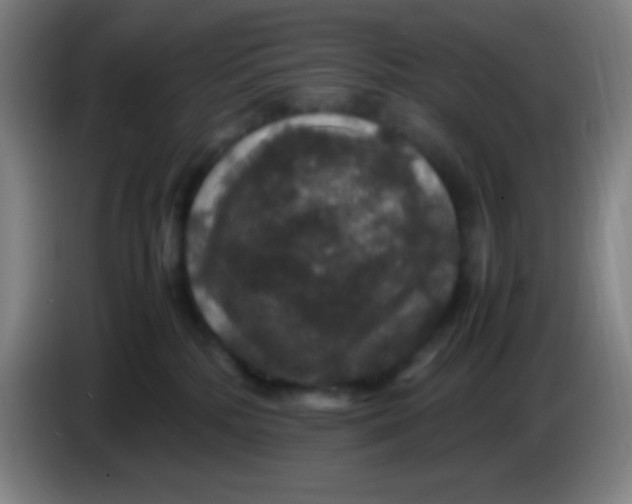 X0000085230232200703301732