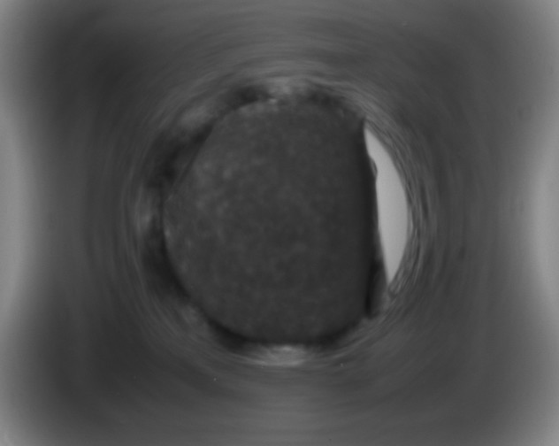 X0000085230233200703301732