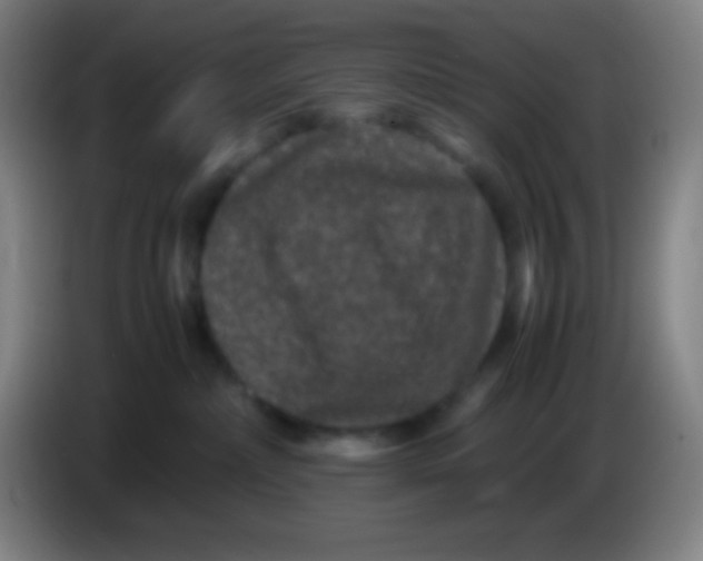 X0000085230236200703301732