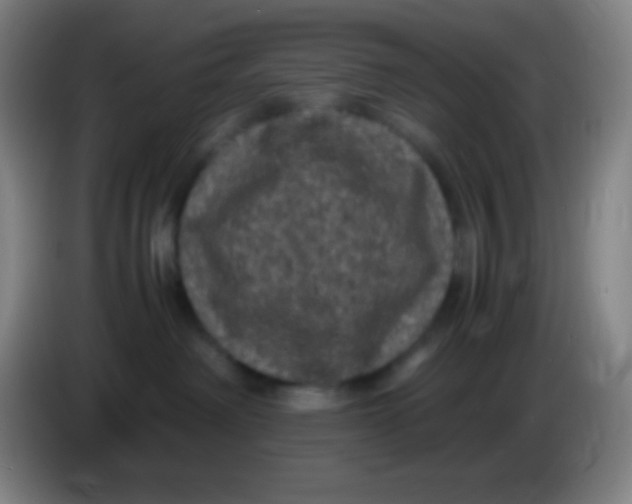 X0000085230238200703301732