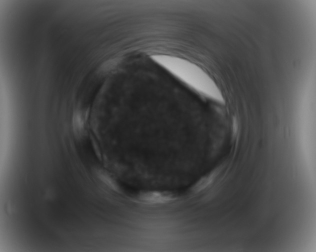 X0000085230239200703301732