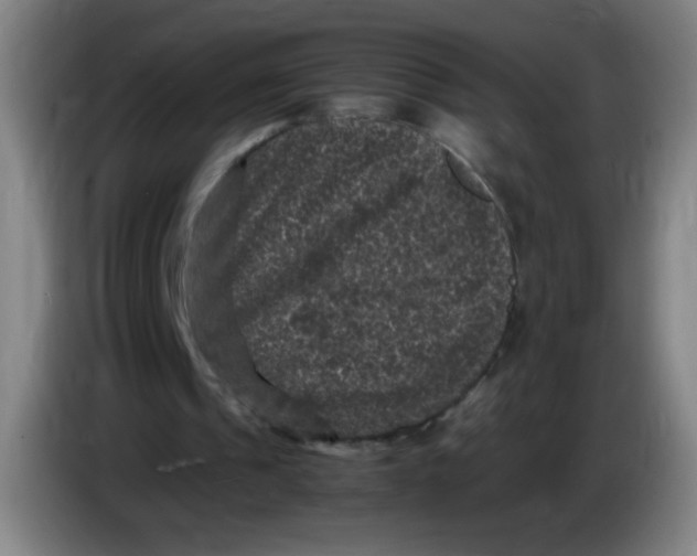 X0000085230241200703301731