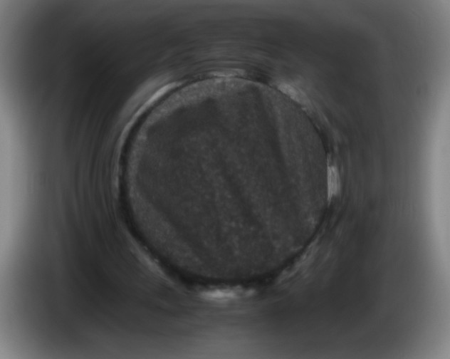 X0000085230243200703301731