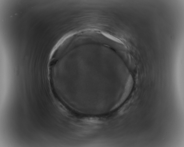 X0000085230244200703301731