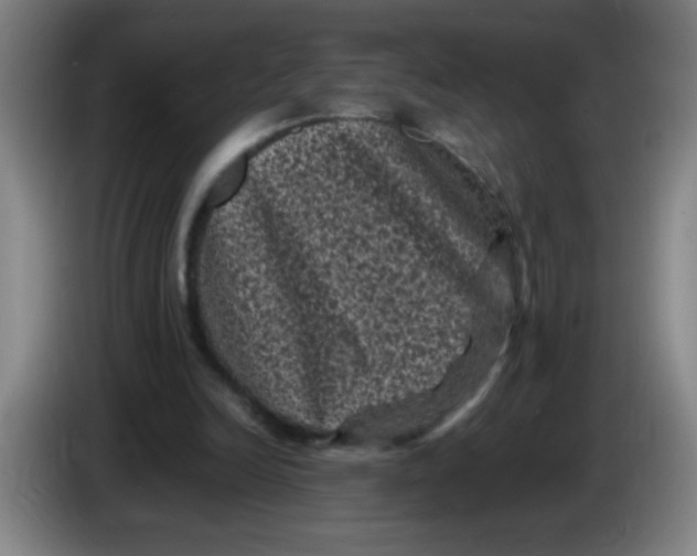 X0000085230246200703301731