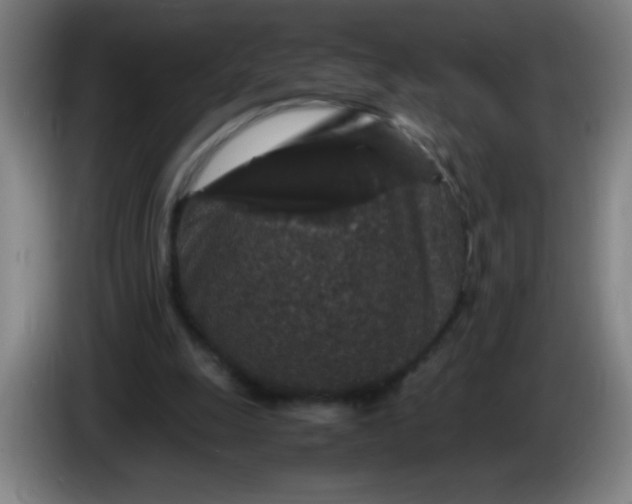 X0000085230247200703301731