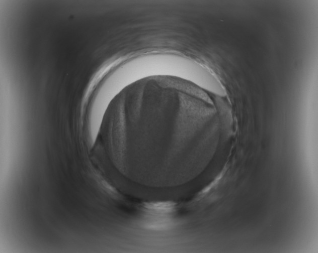 X0000085230248200703301732