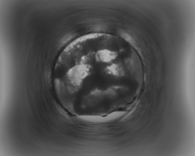 X0000085230249200703301732