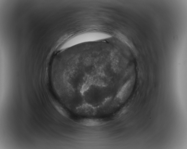 X0000085230250200703301732