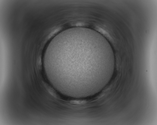 X0000085230251200703301732