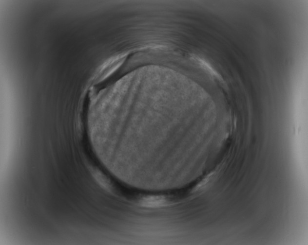 X0000085230252200703301732