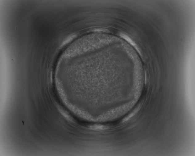 X0000085230253200703301732