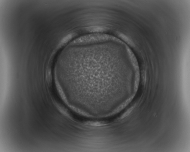 X0000085230254200703301732