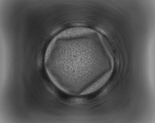 X0000085230255200703301732