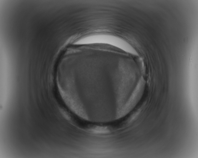 X0000085230256200703301732