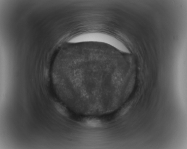 X0000085230258200703301732