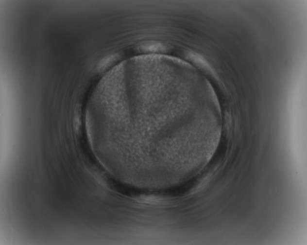 X0000085230259200703301732