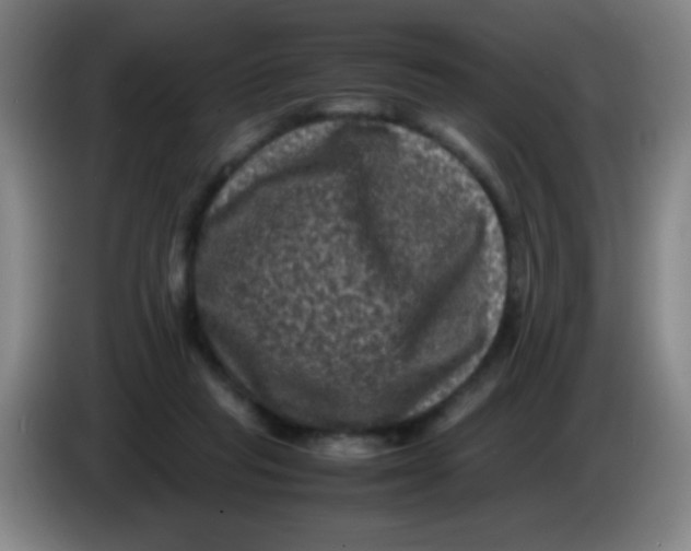 X0000085230261200703301732