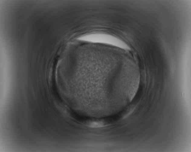X0000085230263200703301732