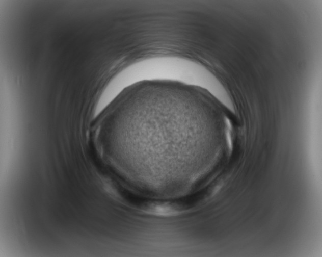 X0000085230264200703301732