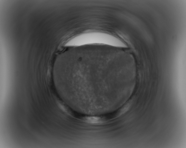 X0000085230265200703301732