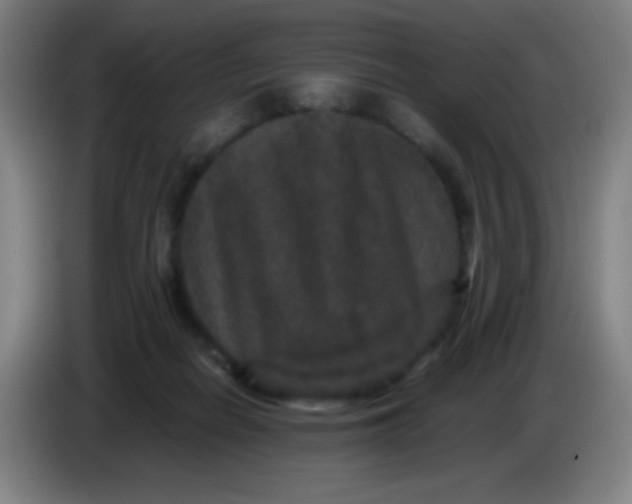 X0000085230266200703301732