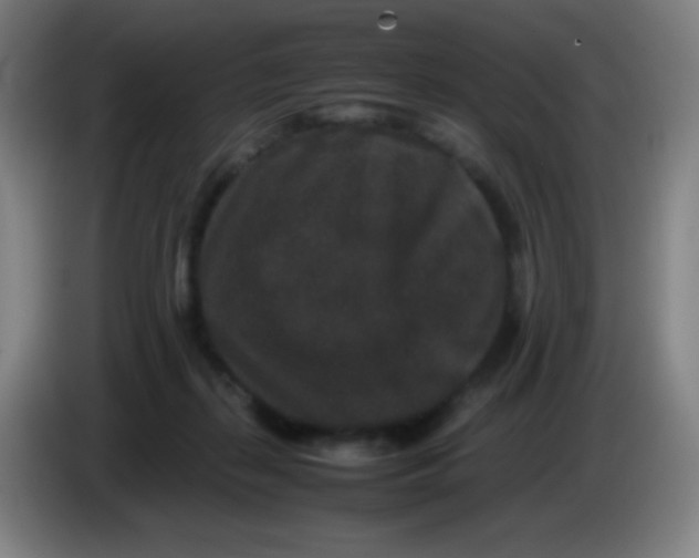 X0000085230267200703301732