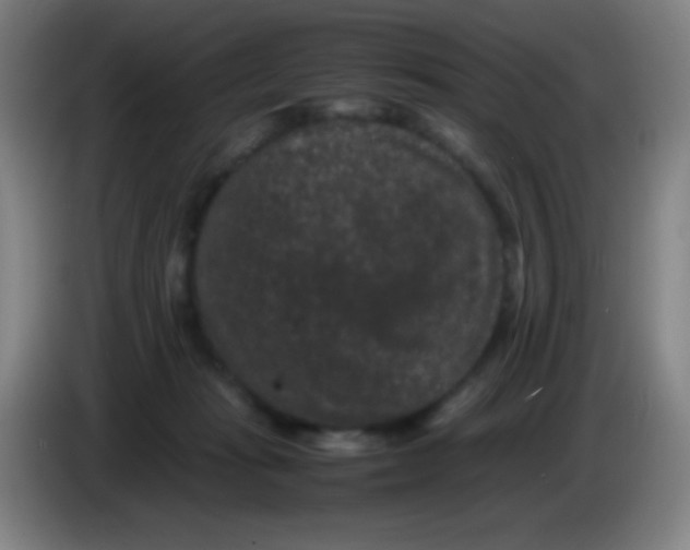 X0000085230269200703301732