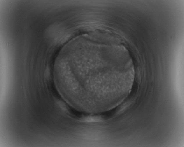 X0000085230270200703301732