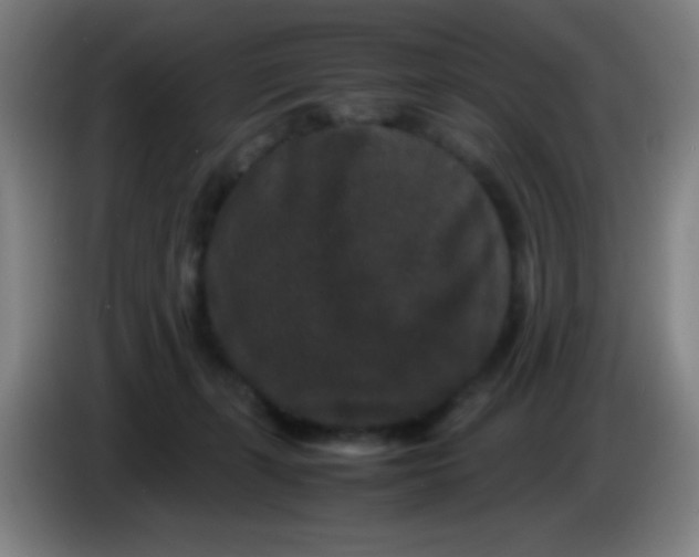X0000085230271200703301732