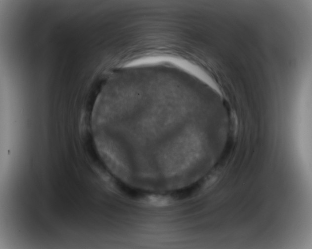 X0000085230272200703301732