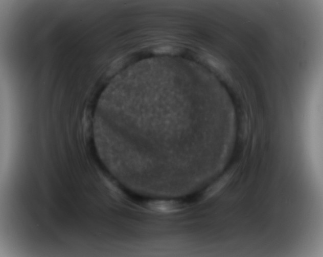 X0000085230273200703301732