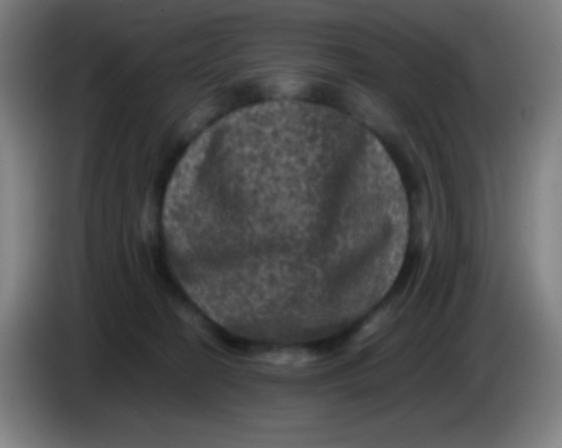 X0000085230274200703301732