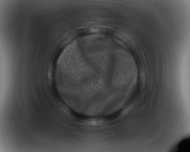 X0000085230275200703301732
