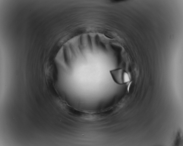 X0000085230276200703301732