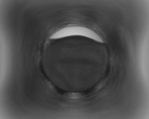 X0000085230277200703301732