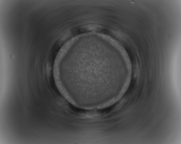 X0000085230279200703301732